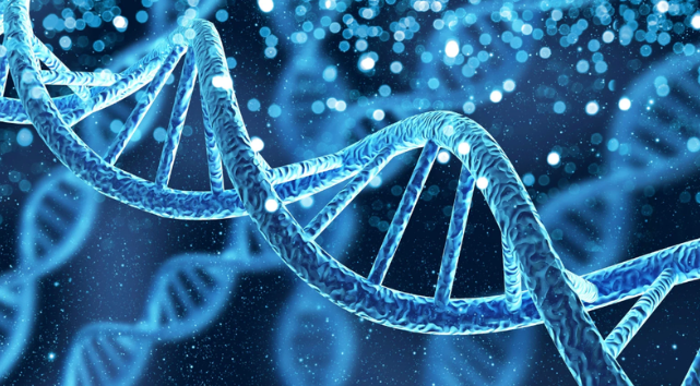 dna